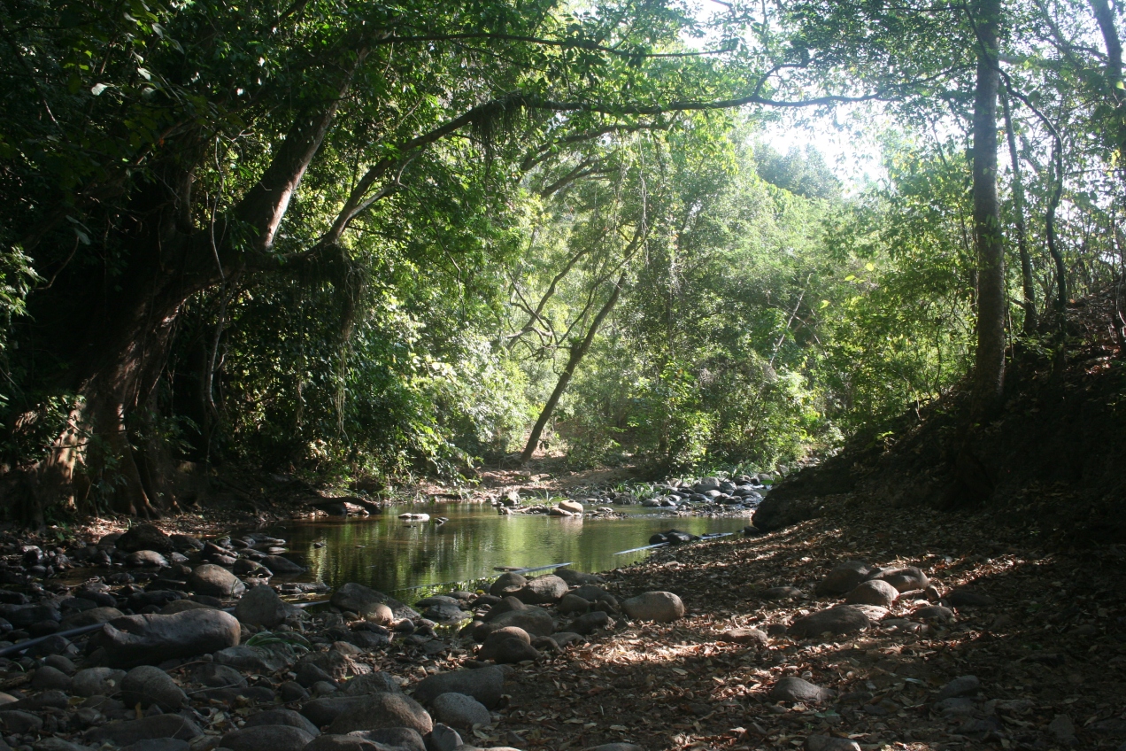 lagunillas river